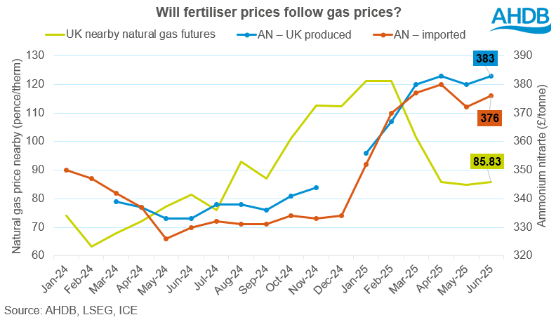 Fert Gas prices 2025